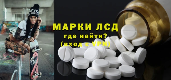 амф Бородино