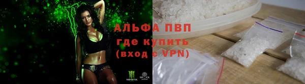 амф Бородино