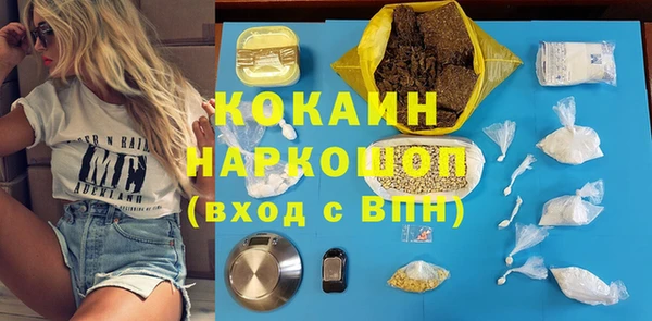 амф Бородино