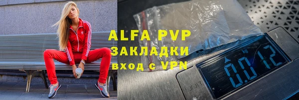 амф Бородино