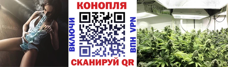 МАРИХУАНА OG Kush  Курск 
